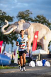 BIB: 
                            <button type="button" onclick="openModal(26541182)" class="btn btn-primary btn-sm float-right btn-popup" data-toggle="modal" data-target=".modal-high-quality">
                        <i class="fas fa-shopping-cart"></i> Add to Cart
                    </button>
                                            <button type="button" onclick="isThisMe(26541182, true)" class="btn btn-success btn-sm float-right btn-popup btn-isme hidden" data-toggle="tooltip" data-placement="bottom" title="นี่คือรูปของคุณใช่ไหม คลิกที่นี่เพื่อเอาเข้าอัลบั้ม">
                        <i class="fas fa-plus"></i> Add to album
                    </button>
                    <button type="button" onclick="isThisMe(26541182, false)" class="btn btn-warning btn-sm float-right btn-popup btn-isnotme hidden">
                        <i class="fas fa-ban"></i> Remove from album
                    </button>